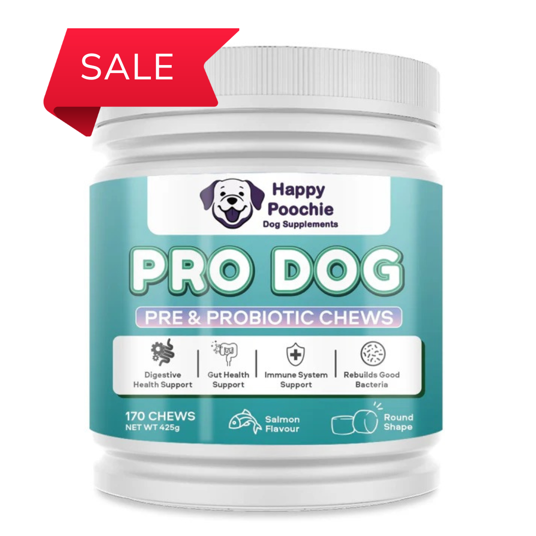 Pro Dog - Pre & Probiotic Supplement For Dogs
