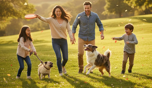 Why Prevention Is the Secret to a Longer, Happier Life for Your Dog 🐾