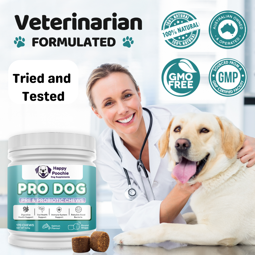 Pro Dog - Pre & Probiotic Supplement For Dogs