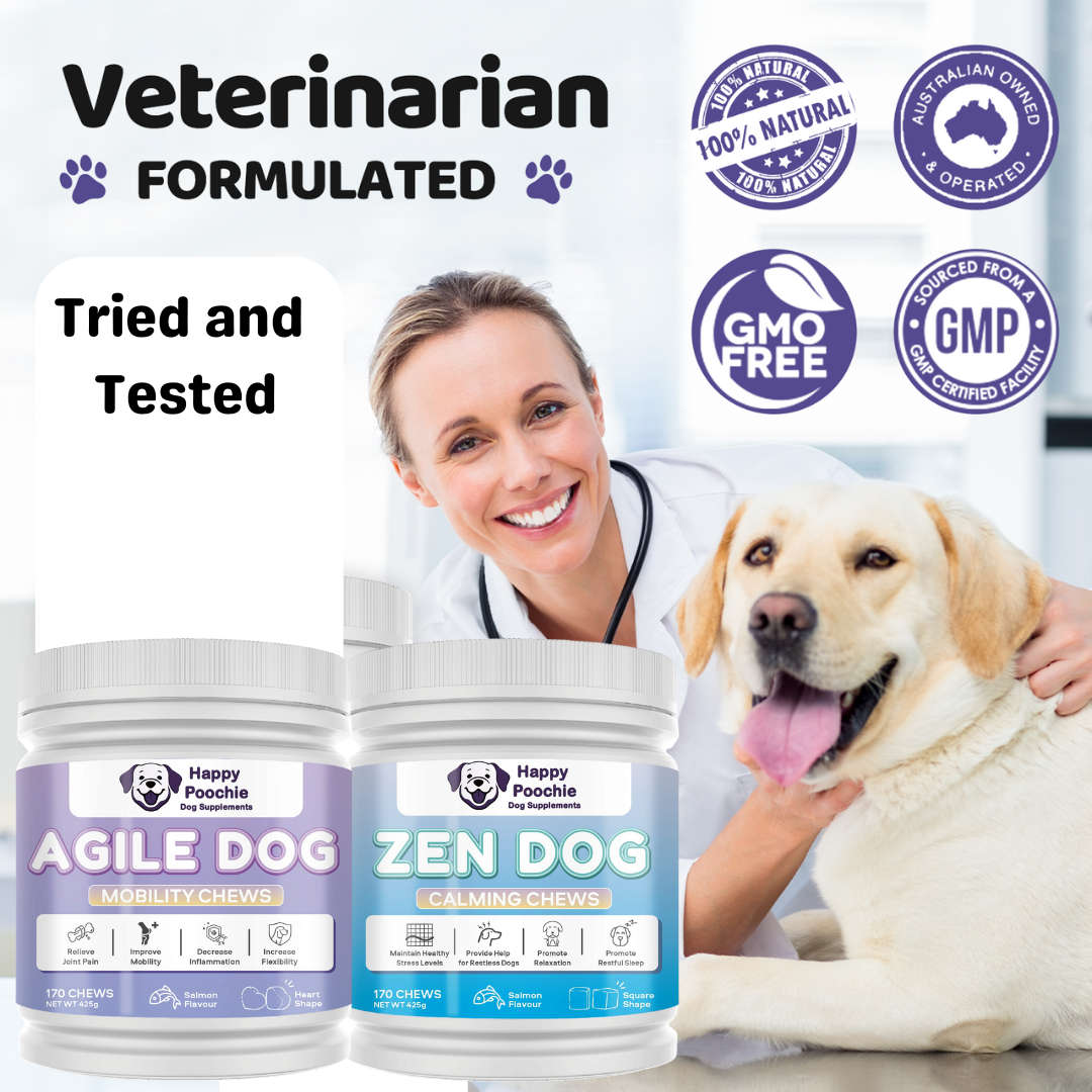 Balanced Duo - Agile Dog and Zen Dog