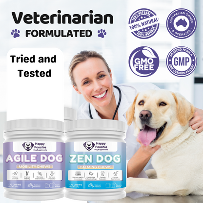 Balanced Duo - Agile Dog and Zen Dog