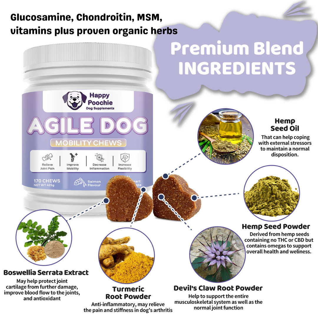 Agile Dog Hip Joint Supplement For Dogs Happy Poochie