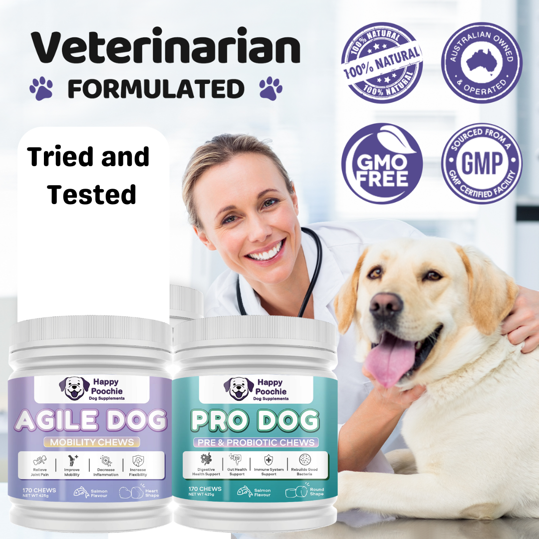 Dynamic Duo - Agile Dog & Pro Dog