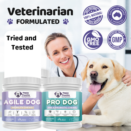 Dynamic Duo - Agile Dog & Pro Dog