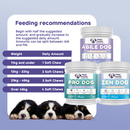 Complete Health - Agile, Pro and Zen