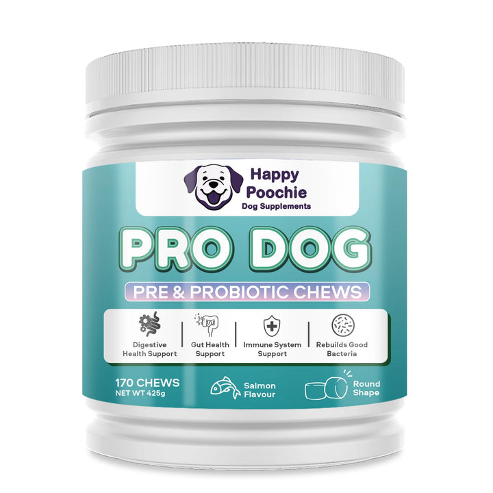 Pro Dog probiotic and digestive supplement