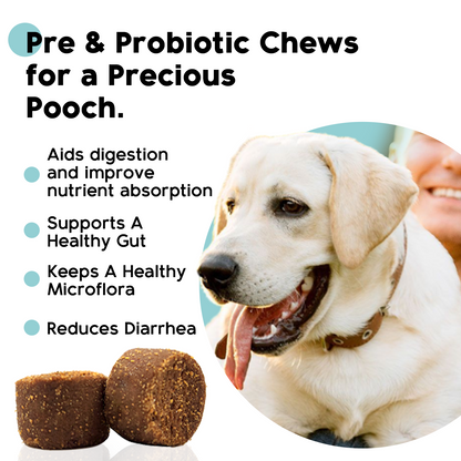 Pro Dog - Pre & Probiotic Supplement For Dogs