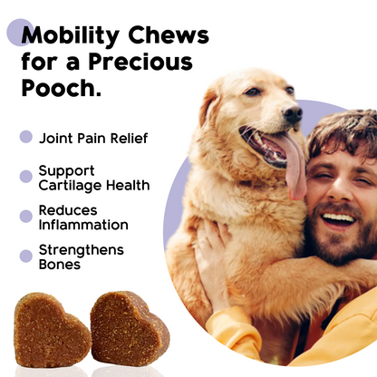 Agile Dog - Hip & Joint Supplement For Dogs